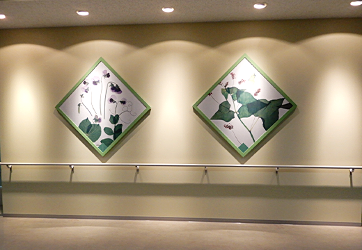 写真：埼玉医科大学国際医療センター・包括的がんセンター・通院治療センター 院内の通路